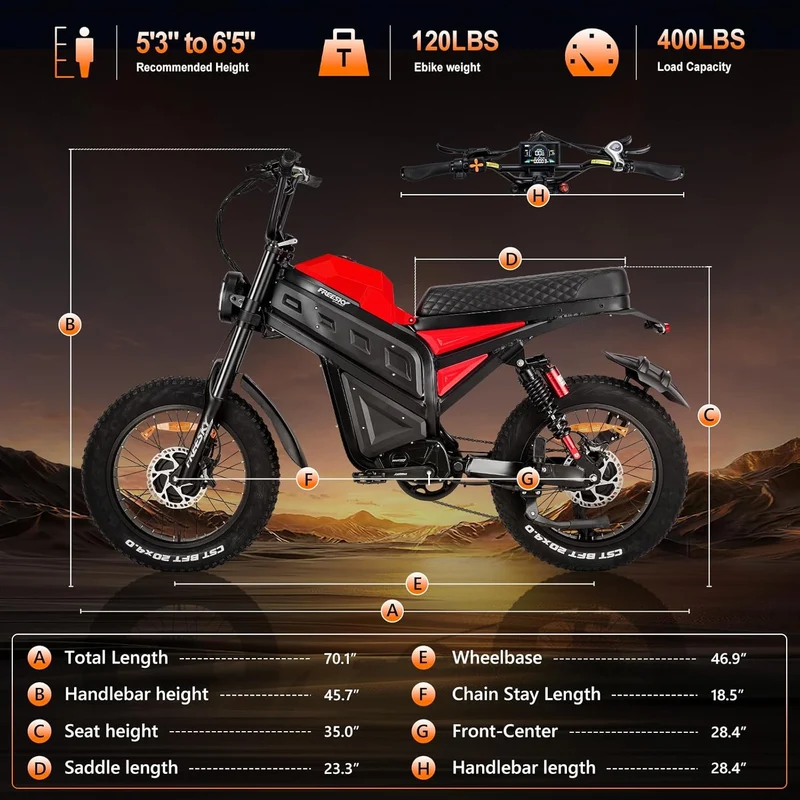 FREESKY Cheetah Fat Tire Electric Bike