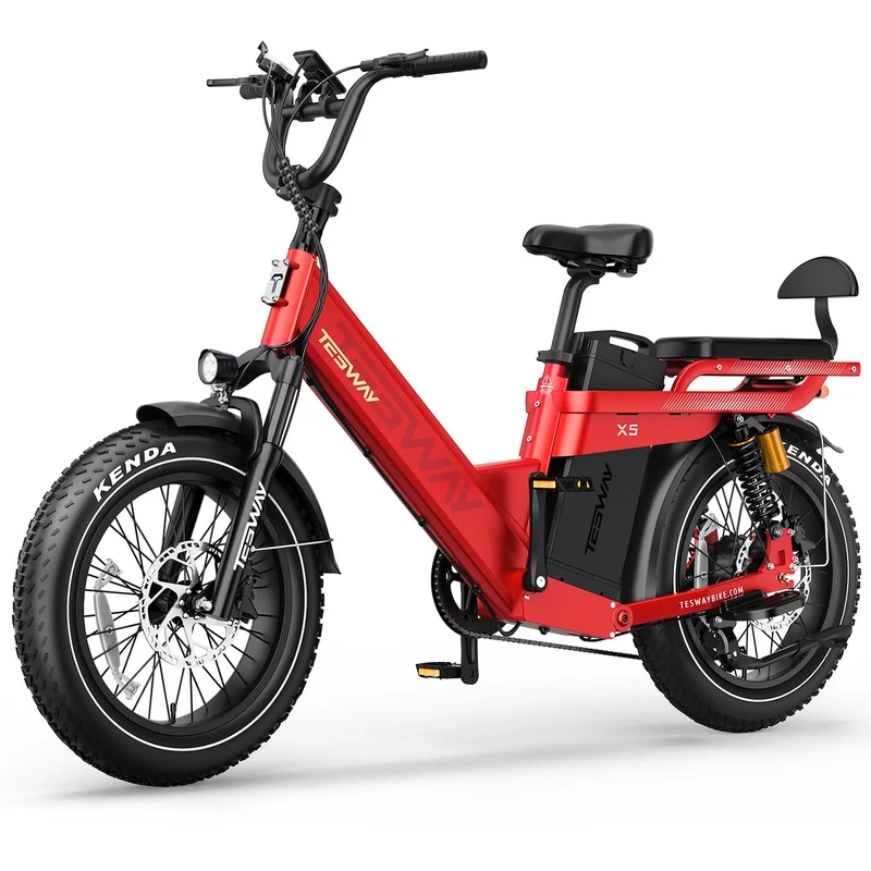 TESWAY X5 Pro Electric Bike Canada – Dual Motor 60Ah Long Range E-Bike
