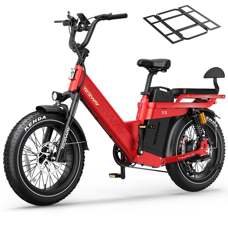 TESWAY X5 Pro Electric Bike Canada – Dual Motor 60Ah Long Range E-Bike