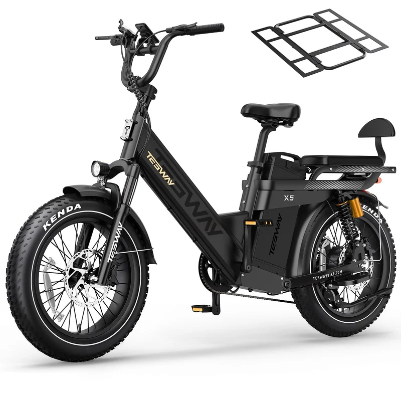 TESWAY X5 Pro Electric Bike Canada – Dual Motor 60Ah Long Range E-Bike
