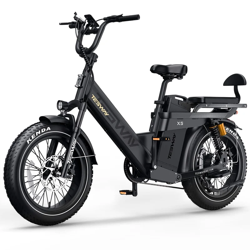 TESWAY X5 Pro Electric Bike Canada – Dual Motor 60Ah Long Range E-Bike