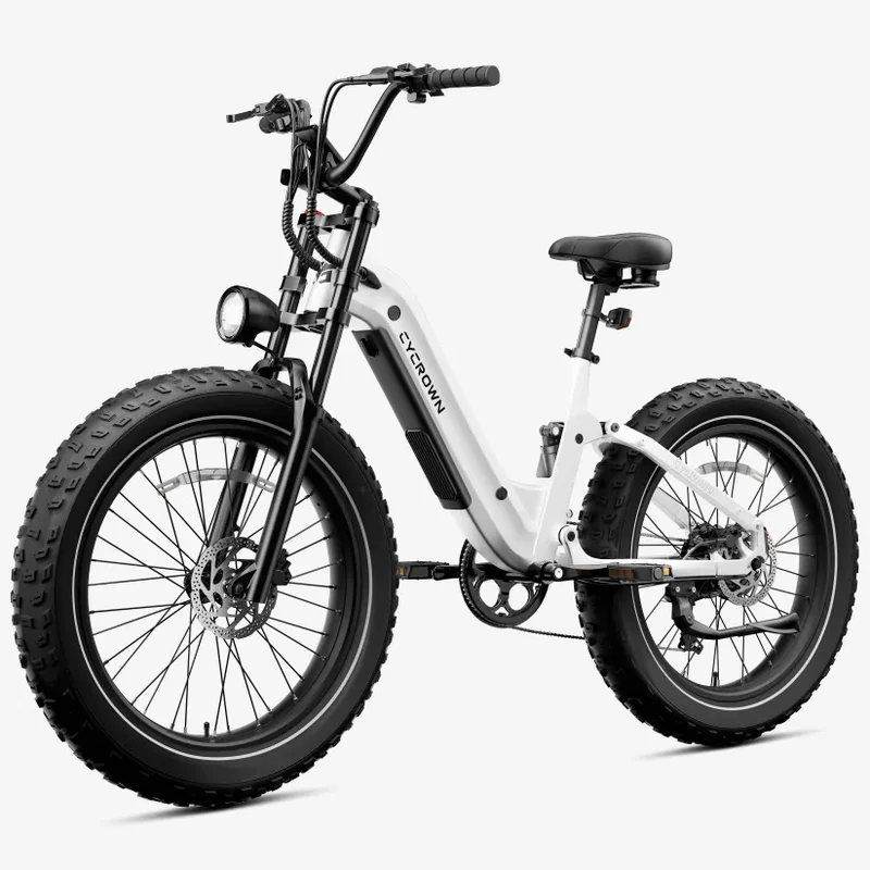 CYCROWN Roma All-Terrain Ebike | 1500W Peak | 48V 20Ah Samsung | Full Suspension | Canada