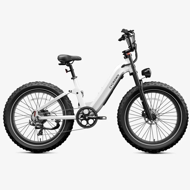 CYCROWN Roma All-Terrain Ebike | 1500W Peak | 48V 20Ah Samsung | Full Suspension | Canada