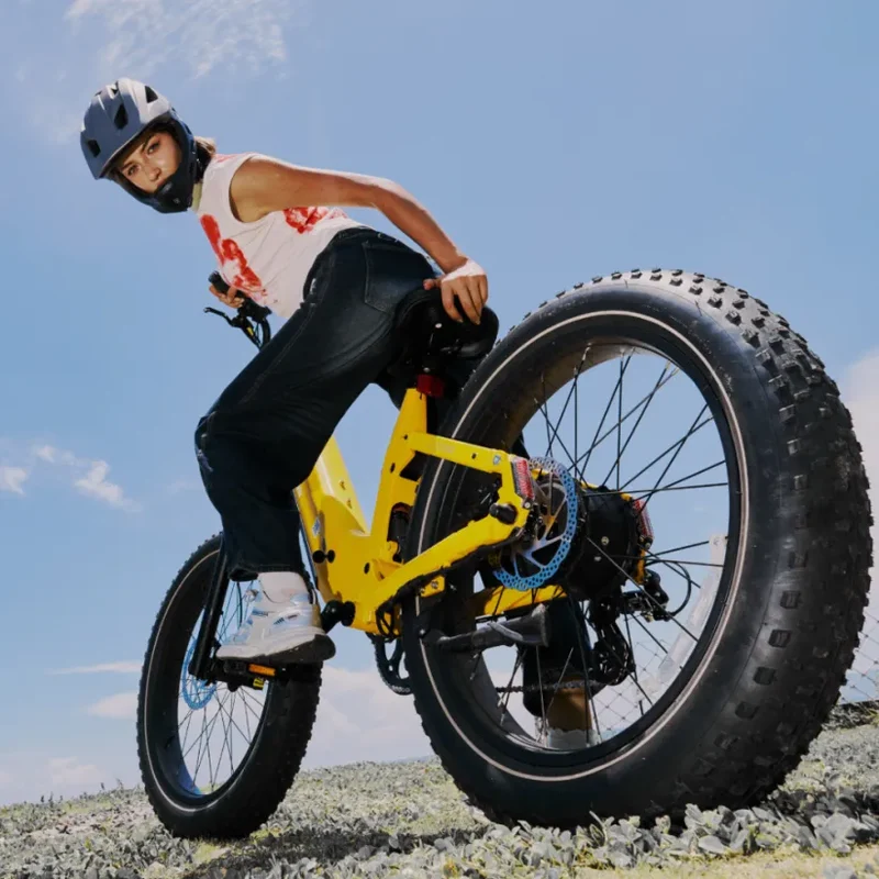 CYCROWN Roma All-Terrain Ebike | 1500W Peak | 48V 20Ah Samsung | Full Suspension | Canada