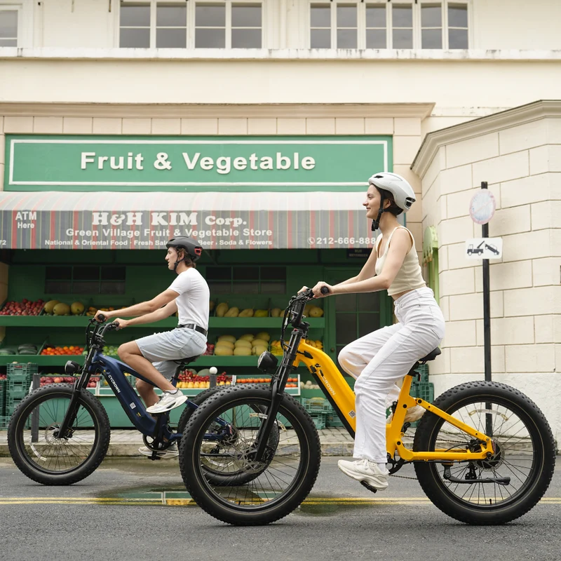 CYCROWN Roma All-Terrain Ebike | 1500W Peak | 48V 20Ah Samsung | Full Suspension | Canada