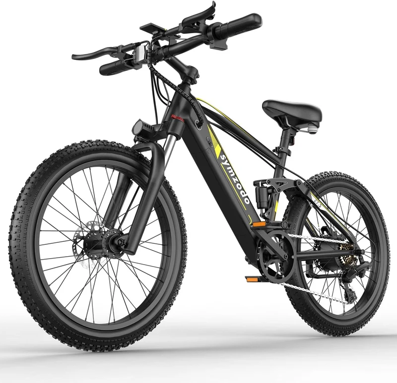 Holyask Symzodo 750W Fat Tire E-Bike Canada