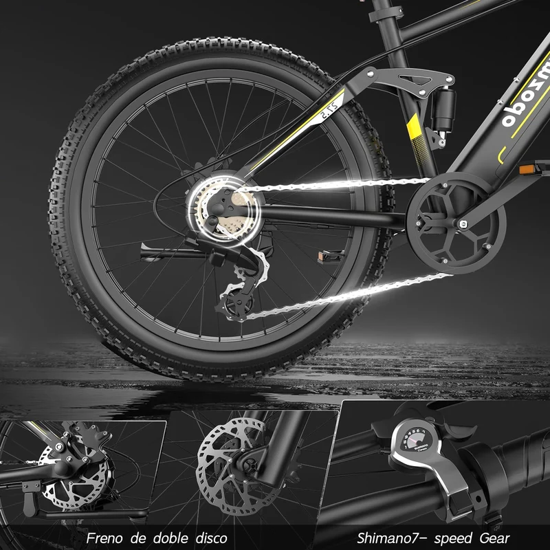 Holyask Symzodo 750W Fat Tire E-Bike Canada