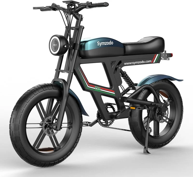 Holyask 750W Electric Dirt Bike 28–30 MPH Canada