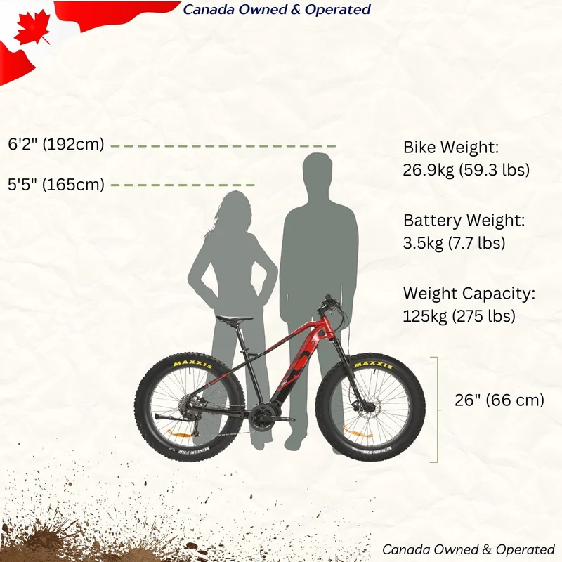 iGO CORE ELITE 3D Electric Bike – Commuter E-Bike Canada
