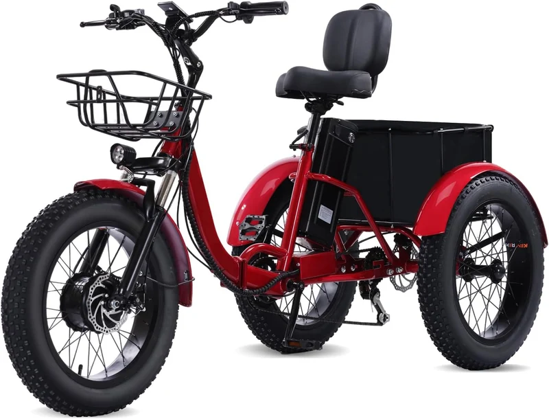 Stable 3-Wheel E-Bike with Long-Range Battery for Comfortable Riding