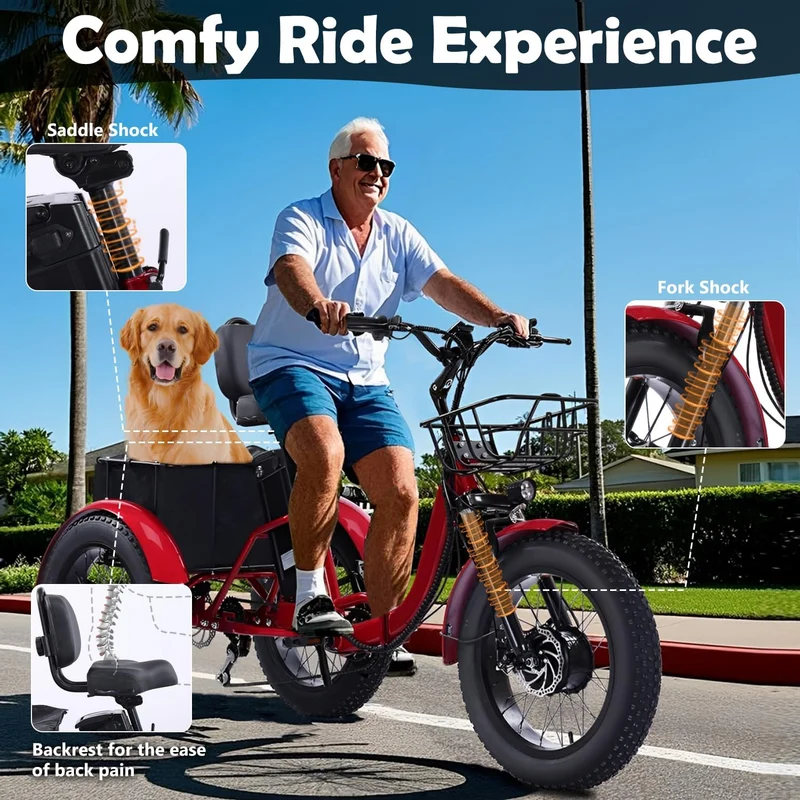 Stable 3-Wheel E-Bike with Long-Range Battery for Comfortable Riding