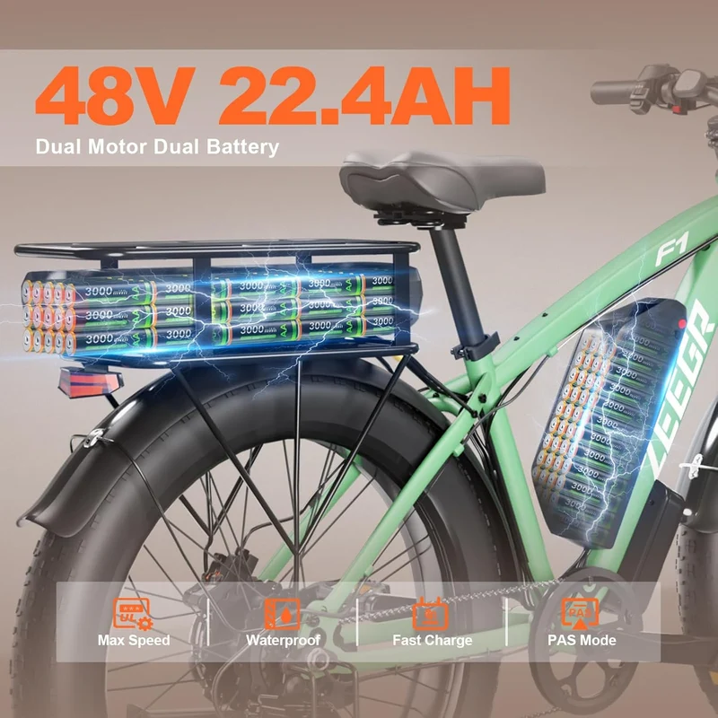Zeegr F1 Electric Fat-Tire Bike (48V 16Ah) — Mountain/Commuter Ready in Canada