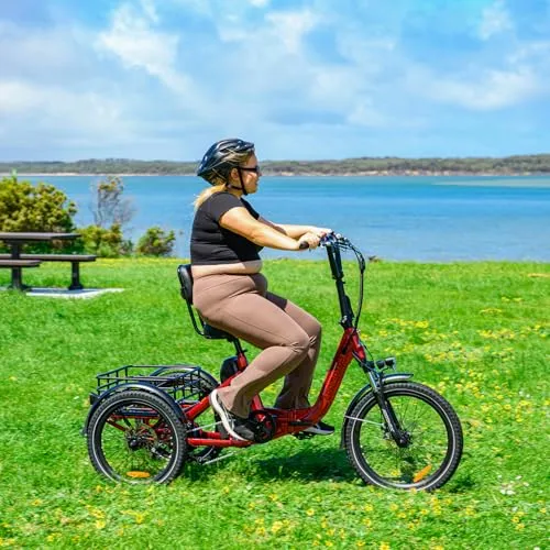 Addmotor CityTri E-310 Folding Electric Trike – 750W Long-Range E-Trike Canada