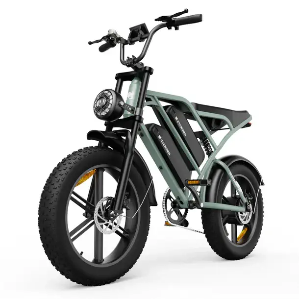 CycHunter Vintage Electric Bike (2026) CANADA Shipping