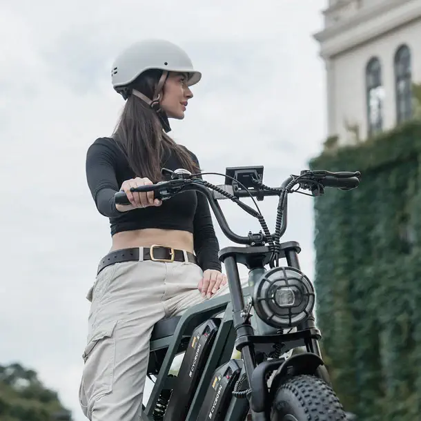 CycHunter Vintage Electric Bike (2026) CANADA Shipping