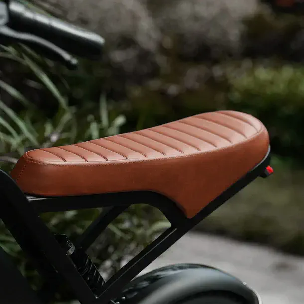 CycHunter Vintage Electric Bike (2026) CANADA Shipping