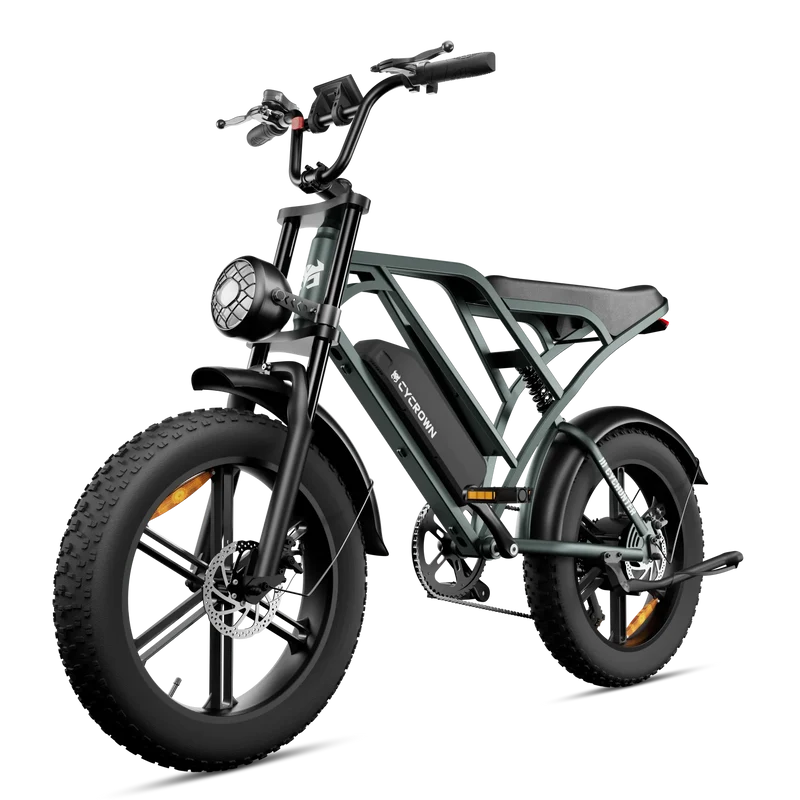 CycHunter Vintage Electric Bike (2026) CANADA Shipping