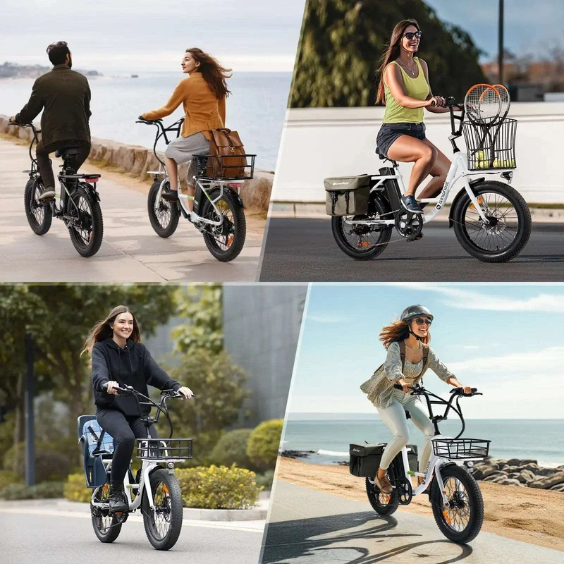 ISINWHEEL U7 20" Step-Thru Cargo Electric Bike 500W Motor 48V 10.4Ah Battery, Max Speed 32 KPH, Range 80KM