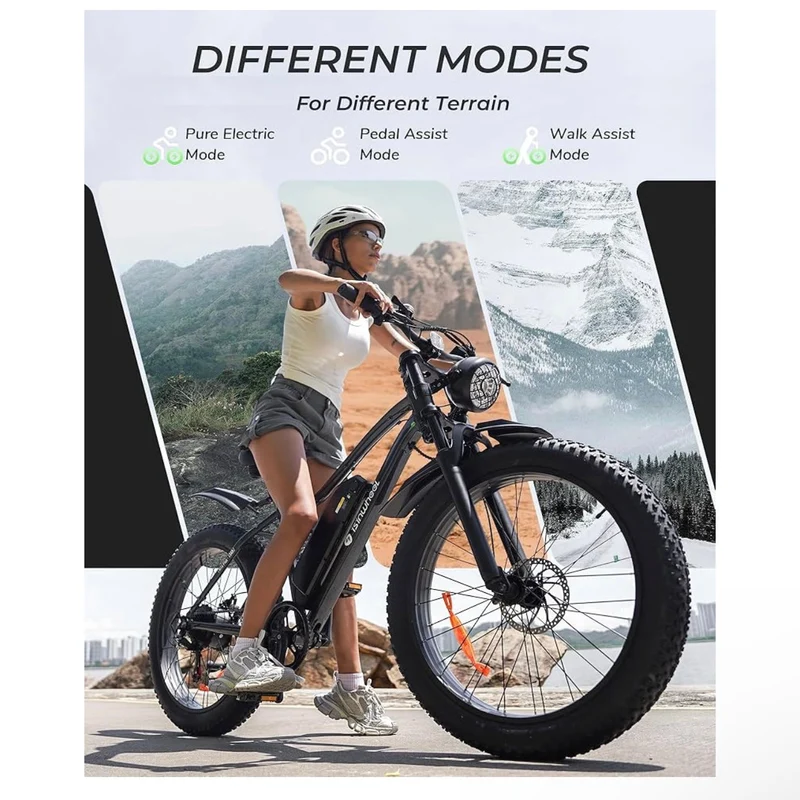isinwheel M10Plus Fat-Tire Electric Bike Canada