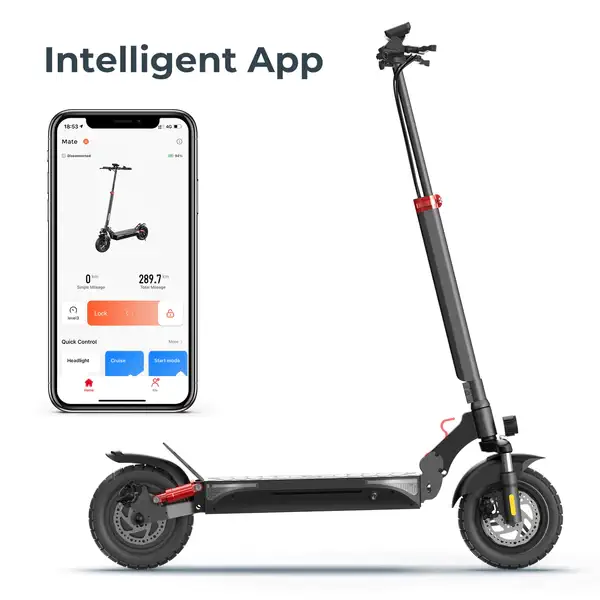 Circooter Mate 800W Racer Electric Scooter-Max Speed 45kph, Range 40km
