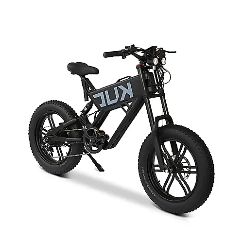 KUGOO T01 500W Fat Tire Electric Bike Canada