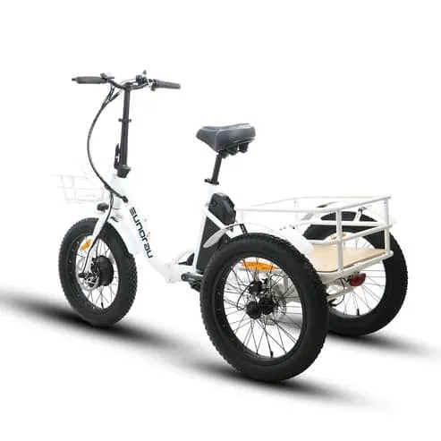 EUNORAU NEW-TRIKE 1.0 - Canada