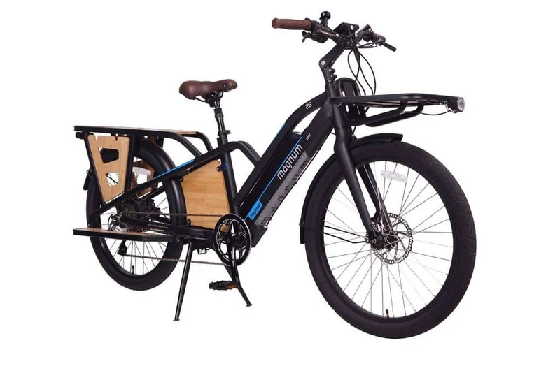 Magnum Payload Electric Cargo Bike - Top Speed 40 KPH, Range 40-88km