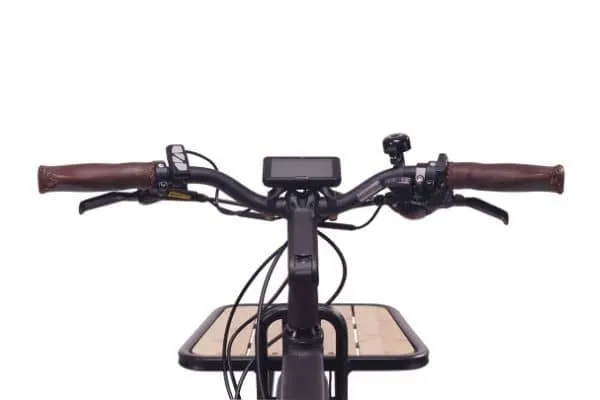 Magnum Payload Electric Cargo Bike - Top Speed 40 KPH, Range 40-88km