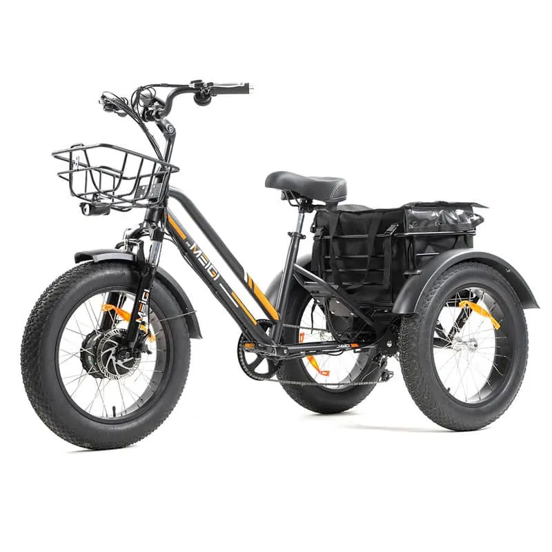 DWMEIGI MG1703 Zeus Electric Trike Canada