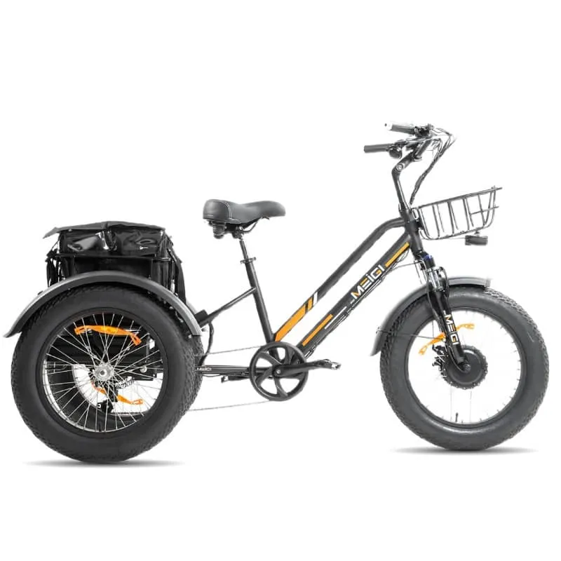 DWMEIGI MG1703 Zeus Electric Trike Canada