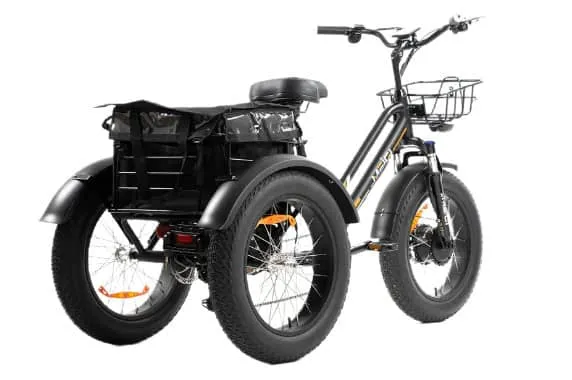 DWMEIGI MG1703 Zeus Electric Trike Canada