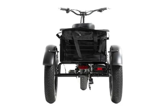 DWMEIGI MG1703 Zeus Electric Trike Canada