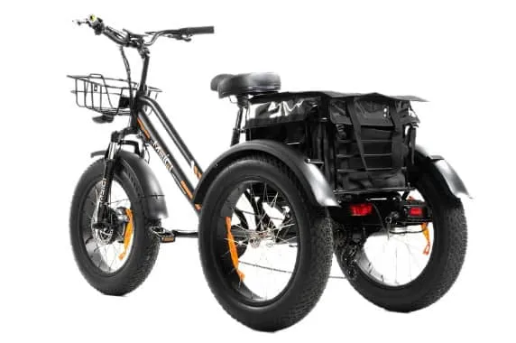 DWMEIGI MG1703 Zeus Electric Trike Canada