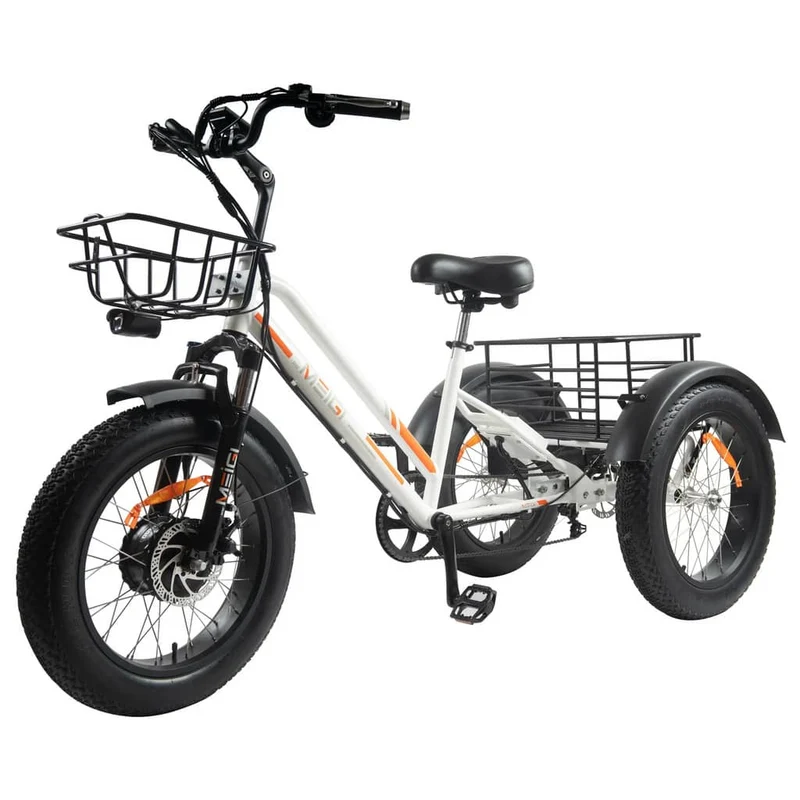DWMEIGI MG1703 Zeus Electric Trike Canada