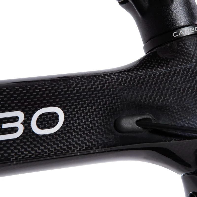 CARBO S Folding Electric Bike Canada | 250W Carbon Frame