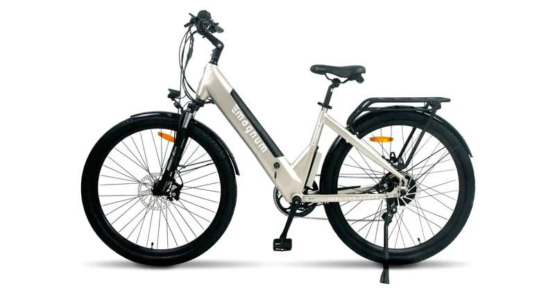 The Magnum Cosmo S - Top Speed 32 KPH, Range 48-80km