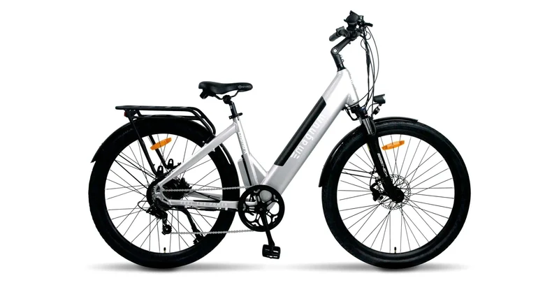 The Magnum Cosmo X - Top Speed 32 KPH, Range 48-80km
