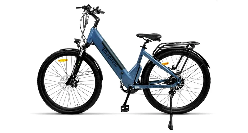 The Magnum Cosmo X - Top Speed 32 KPH, Range 48-80km