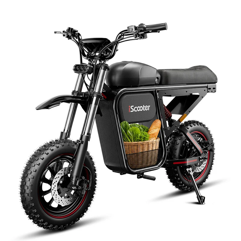 iScooter DX5Max Electric Bike