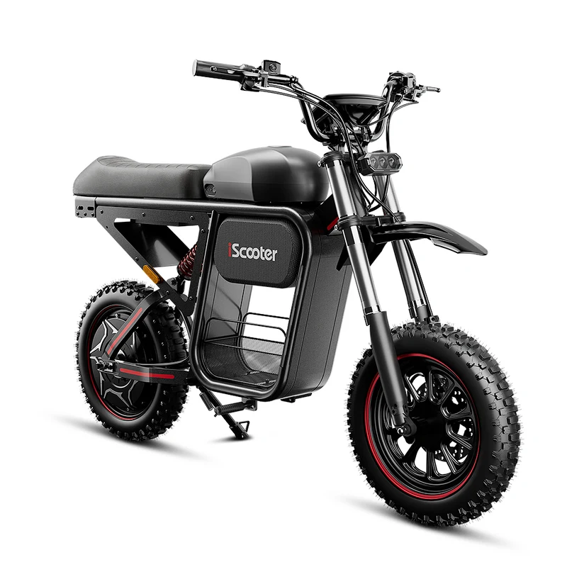 iScooter DX5Max Electric Bike