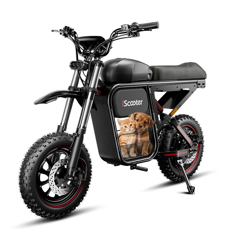 iScooter DX5Max Electric Bike
