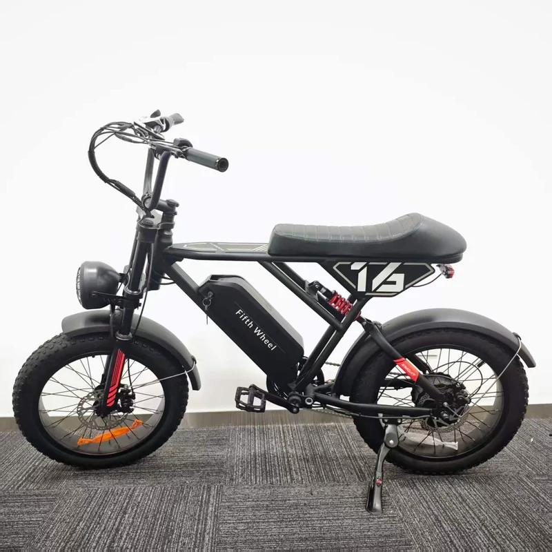 Fifth Wheel ebike