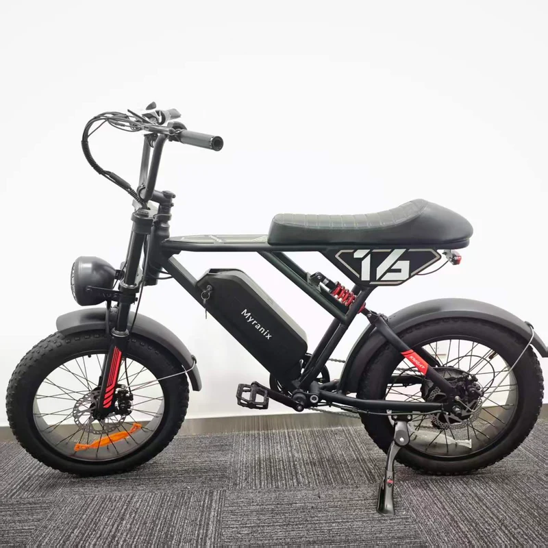 Myranix ebike