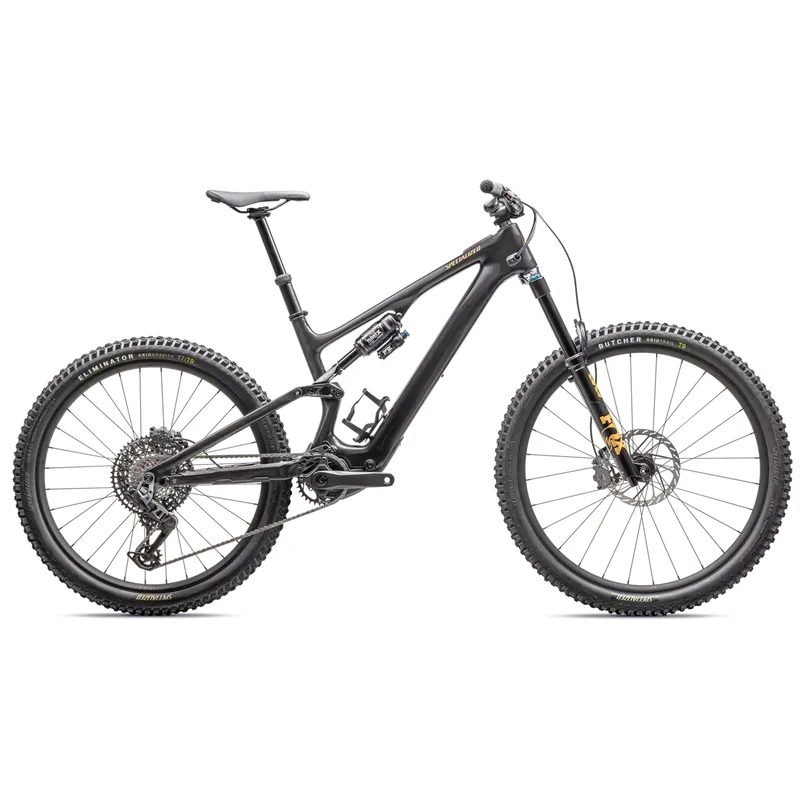 Specialized Turbo Levo SL 2 Expert Electric Mountain Bike
