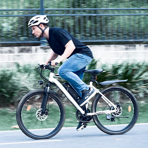 EB3S / M50 Electric Mountain Bike