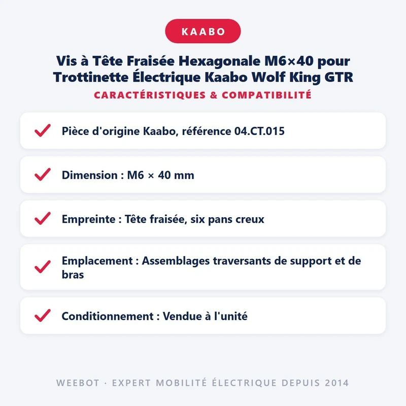 Vis à Tête Fraisée Hexagonale M6×40 pour Trottinette Électrique Kaabo Wolf King GTR