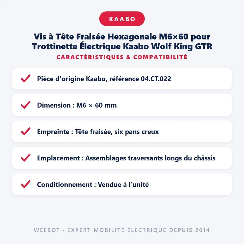 Vis à Tête Fraisée Hexagonale M6×60 pour Trottinette Électrique Kaabo Wolf King GTR
