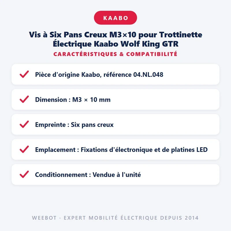 Vis à Six Pans Creux M3×10 pour Trottinette Électrique Kaabo Wolf King GTR
