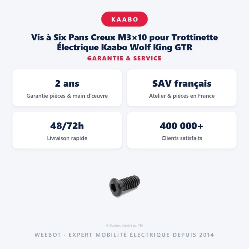 Vis à Six Pans Creux M3×10 pour Trottinette Électrique Kaabo Wolf King GTR