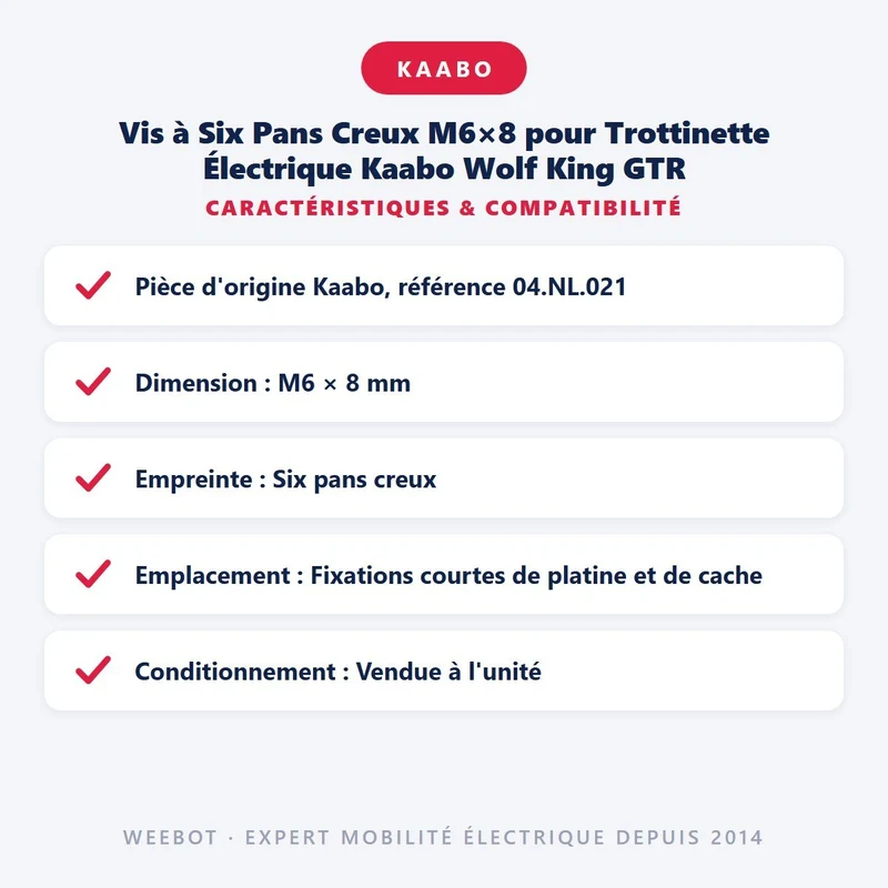 Vis à Six Pans Creux M6×8 pour Trottinette Électrique Kaabo Wolf King GTR